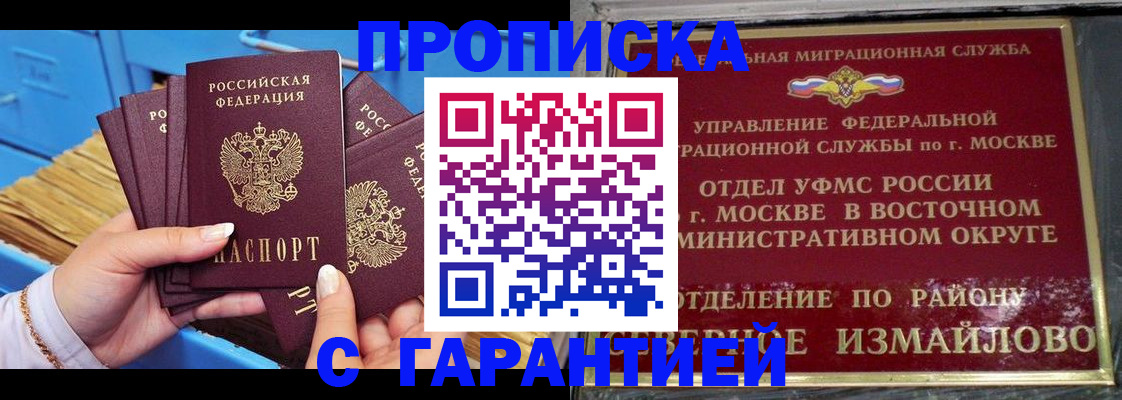 прописка поиск в Камышине